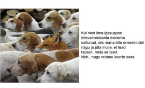 Nagu rebane koerte seas
